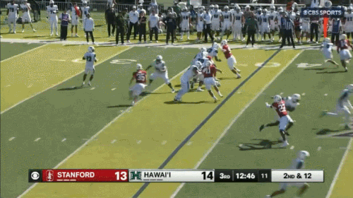 GIF 8 23 2025 8 45 31 PM.gif