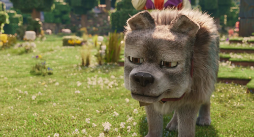 vlcsnap 2025 08 24 07h22m54s915.png