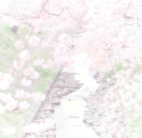 tl84ly.jpg