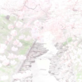 tl84ly