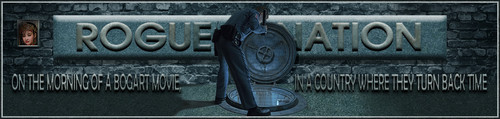 ManHole Banner.jpg