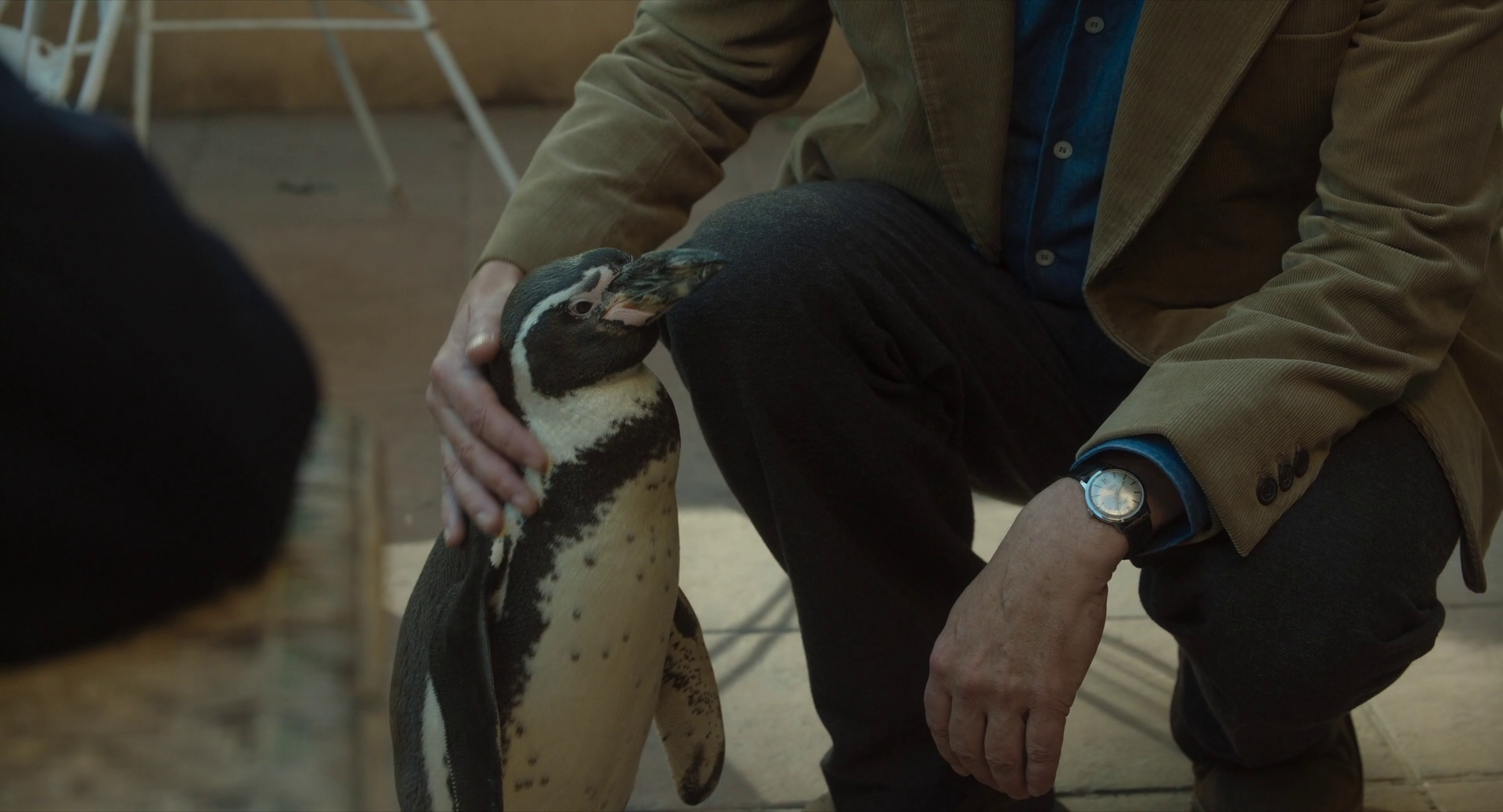 vlcsnap 2025 08 24 07h16m51s791