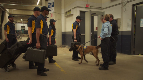 vlcsnap 2025 08 24 00h59m25s581