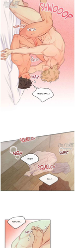 6.png