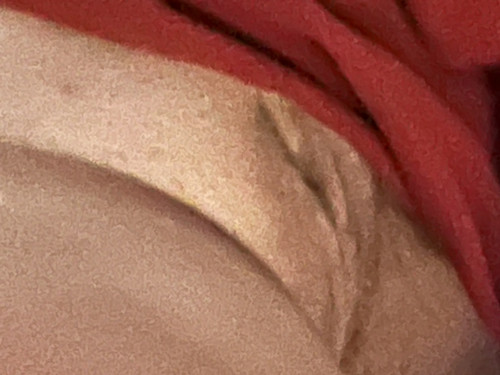 IMG 6231.jpg