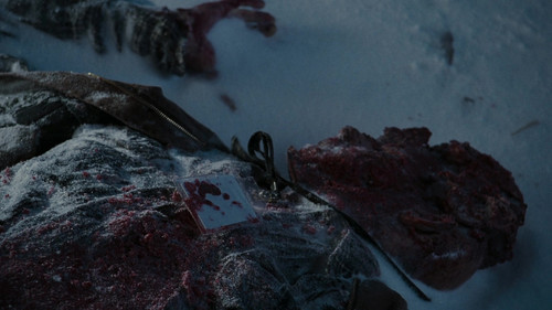 vlcsnap 2025 08 24 17h43m52s013.jpg