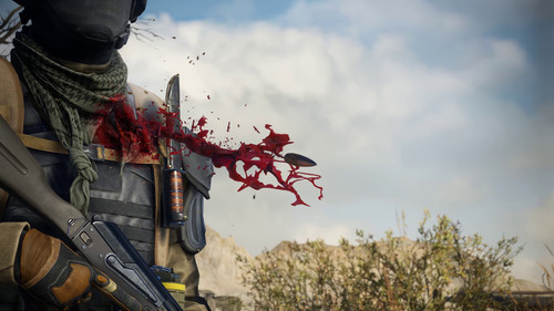 92643766 vollbild.jpg