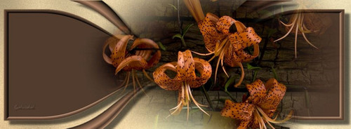 227649 462006427181558 1348831376 n.jpg