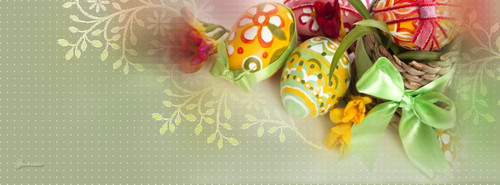 24288 496403733741827 451492681 n.jpg