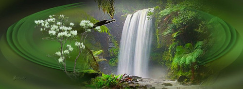 529662 478642162184651 443866081 n.jpg