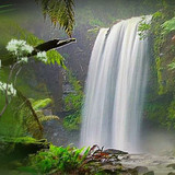 529662 478642162184651 443866081 n