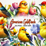 Spring American Goldfinch Bird Clipart 113067863
