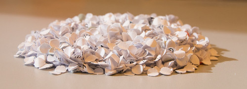 Business Document Shredding Preparation Guide 2025 | Complete Shredding Solutions.jpg