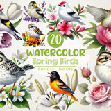 Spring Birds Sublimation Clipart 113321223