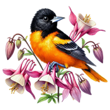 PNG (1)