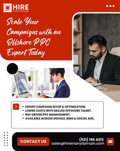 Offshore PPC Expert.jpg