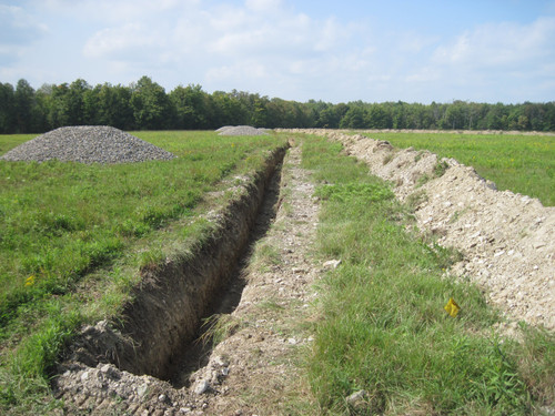Land Clearing.jpg