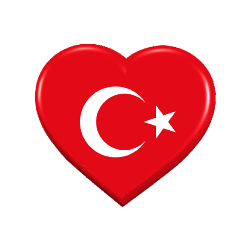 bayrak türk.gif
