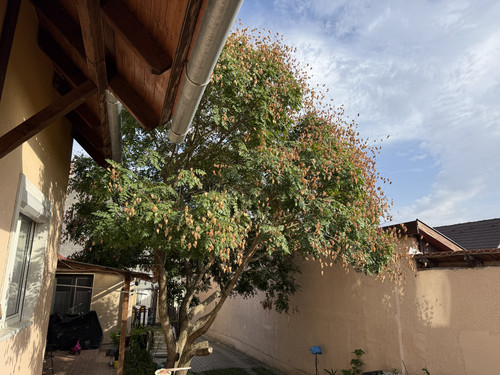 IMG 0055.jpg