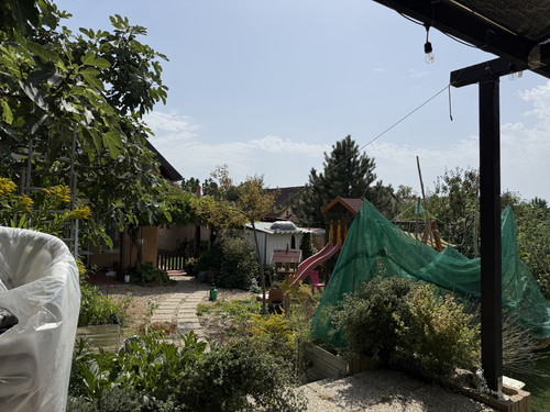 IMG 0043.jpg