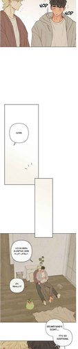6.png