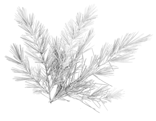 kits tammys welt winter love (72).png