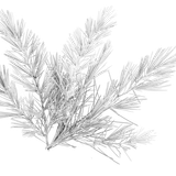 kits tammys welt winter love (72)