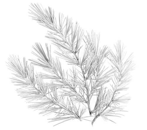 kits tammys welt winter love (75).png