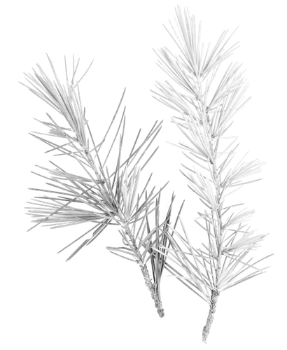 kits tammys welt winter love (73).png