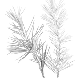 kits tammys welt winter love (73)