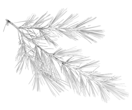 kits tammys welt winter love (74).png