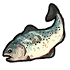 fish.png