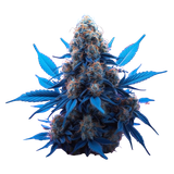 weed skunk.png