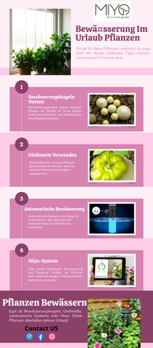 Bewã¤sserung Im Urlaub Pflanzen.png