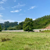 IMG 20250831 WA0081