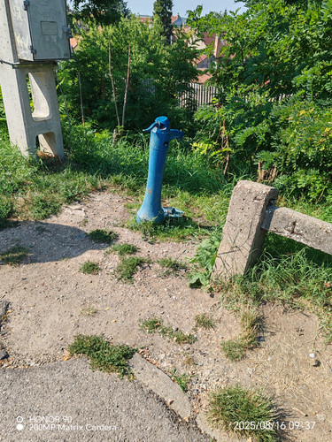 IMG 20250816 093737.jpg