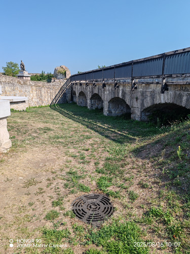 IMG 20250816 100722.jpg