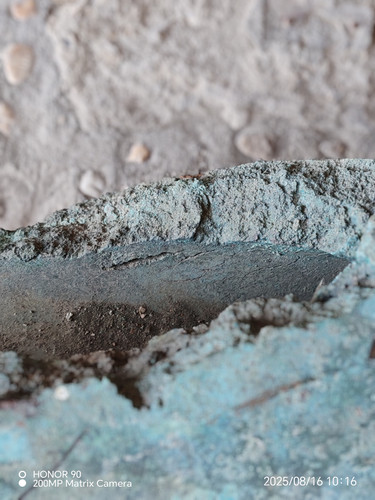 IMG 20250816 101617.jpg