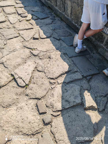 IMG 20250816 100426.jpg