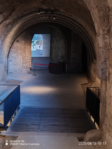 IMG 20250816 101749.jpg