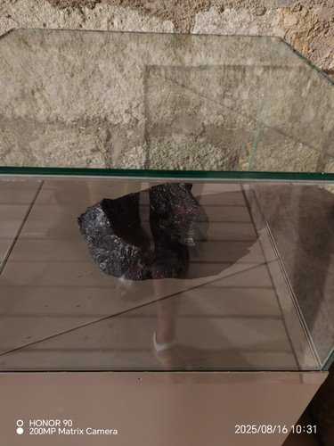 IMG 20250816 103150.jpg