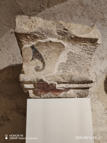 IMG 20250816 102112.jpg