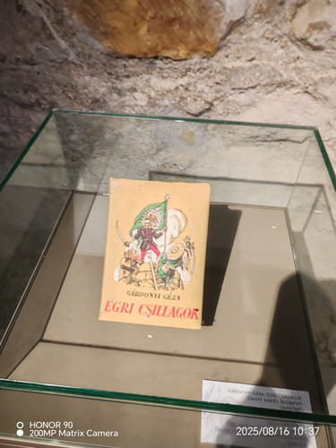 IMG 20250816 103701.jpg