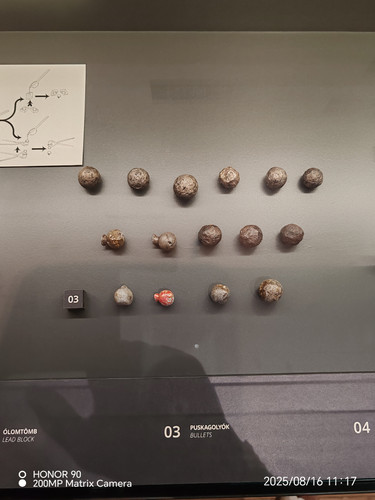 IMG 20250816 111730.jpg