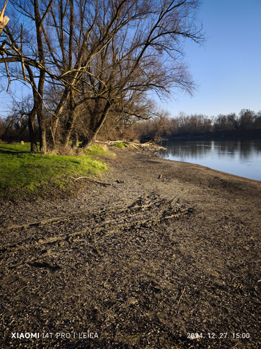 IMG 20241227 150021.jpg