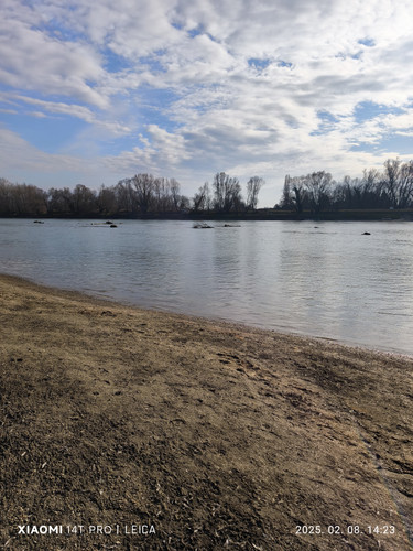 IMG 20250208 142315.jpg