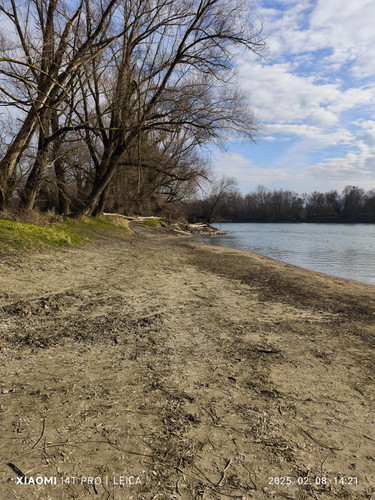 IMG 20250208 142140.jpg