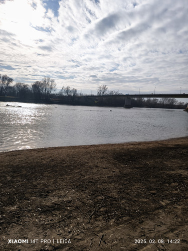 IMG 20250208 142209.jpg