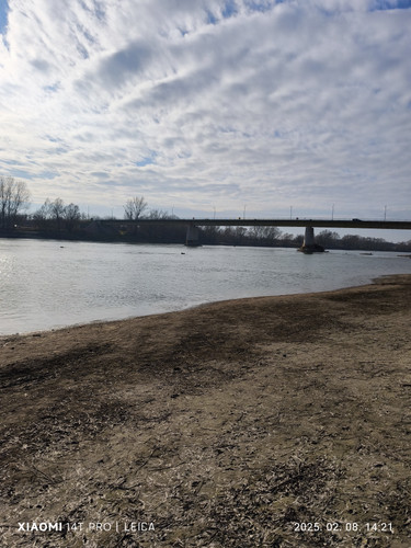 IMG 20250208 142146.jpg