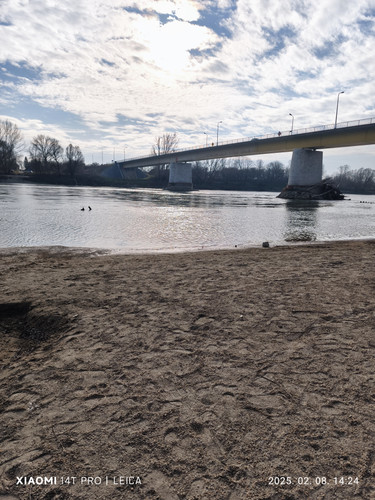 IMG 20250208 142447.jpg